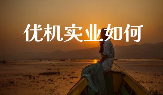 优机实业如何_https://wap.lcpcjs.com_外汇市场_第1张