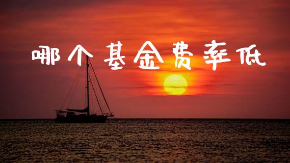 哪个基金费率低_https://wap.lcpcjs.com_股港行情_第1张