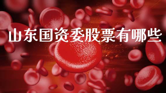 山东国资委股票有哪些_https://wap.lcpcjs.com_外汇市场_第1张