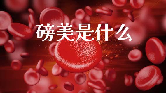 磅美是什么_https://wap.lcpcjs.com_股港行情_第1张