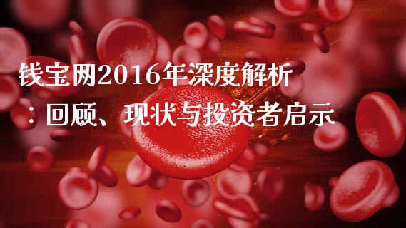 钱宝网2016年深度解析：回顾、现状与投资者启示_https://wap.lcpcjs.com_美股行情_第1张
