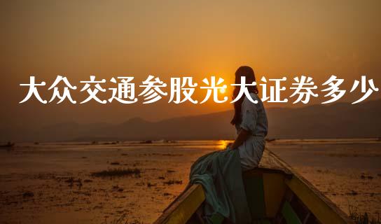 大众交通参股光大证券多少_https://wap.lcpcjs.com_股港行情_第1张