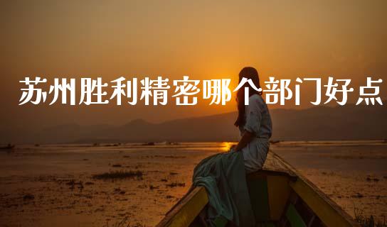 苏州胜利精密哪个部门好点_https://wap.lcpcjs.com_股港行情_第1张