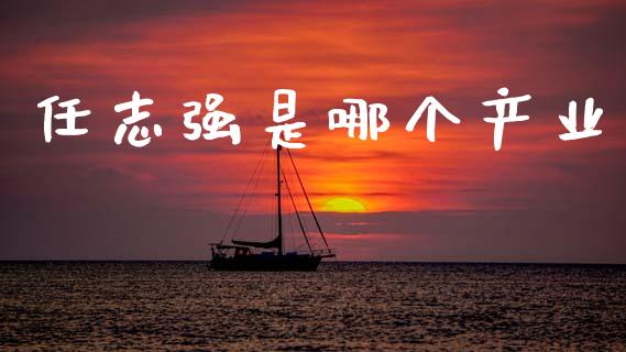 任志强是哪个产业_https://wap.lcpcjs.com_股港行情_第1张