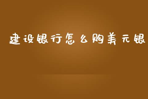 建设银行怎么购美元银_https://wap.lcpcjs.com_股港行情_第1张