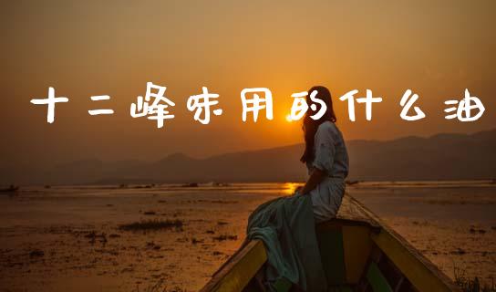 十二峰味用的什么油_https://wap.lcpcjs.com_全球经济_第1张