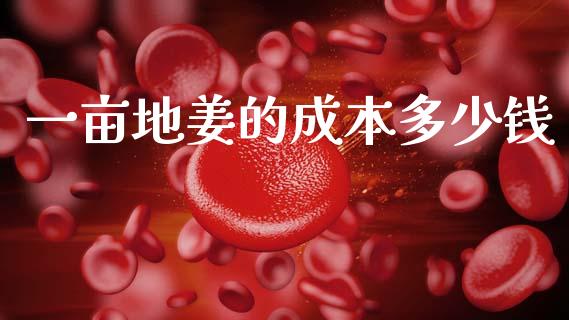 一亩地姜的成本多少钱_https://wap.lcpcjs.com_股港行情_第1张