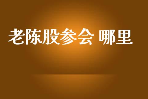 老陈股参会 哪里_https://wap.lcpcjs.com_美股行情_第1张