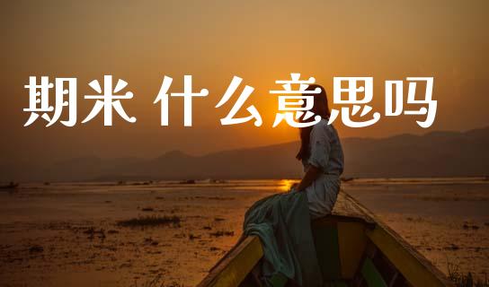 期米 什么意思吗_https://wap.lcpcjs.com_股港行情_第1张