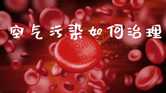空气污染如何治理_https://wap.lcpcjs.com_股港行情_第1张