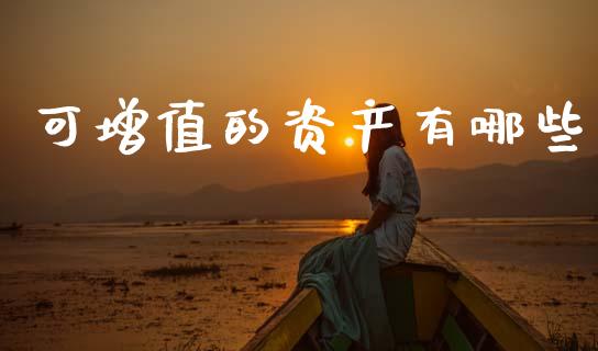 可增值的资产有哪些_https://wap.lcpcjs.com_全球经济_第1张