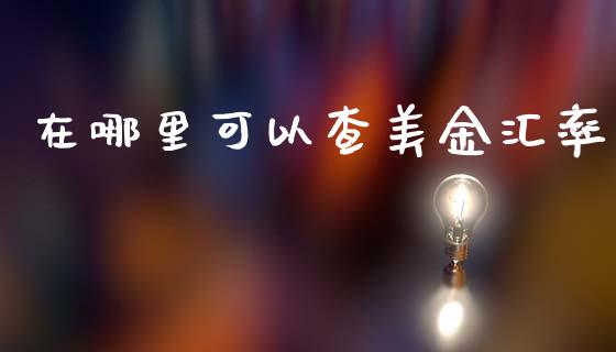 在哪里可以查美金汇率_https://wap.lcpcjs.com_全球经济_第1张