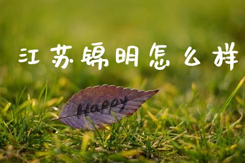 江苏锦明怎么样_https://wap.lcpcjs.com_外汇市场_第1张