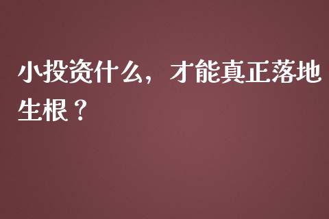 小投资什么，才能真正落地生根？_https://wap.lcpcjs.com_全球经济_第1张