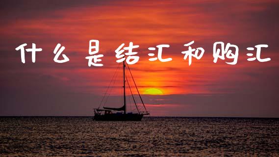 什么是结汇和购汇_https://wap.lcpcjs.com_美股行情_第1张