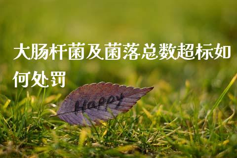 大肠杆菌及菌落总数超标如何处罚_https://wap.lcpcjs.com_全球经济_第1张