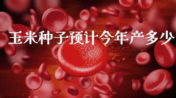 玉米种子预计今年产多少_https://wap.lcpcjs.com_美股行情_第1张