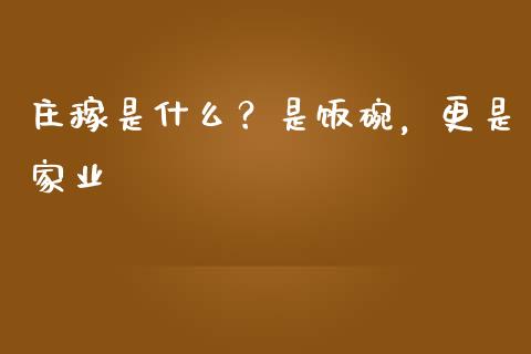 庄稼是什么？是饭碗，更是家业_https://wap.lcpcjs.com_外汇市场_第1张