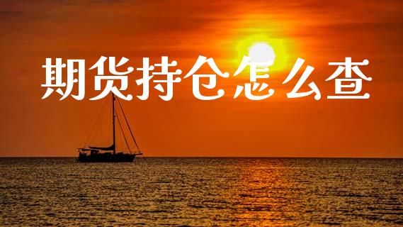 期货持仓怎么查_https://wap.lcpcjs.com_股港行情_第1张