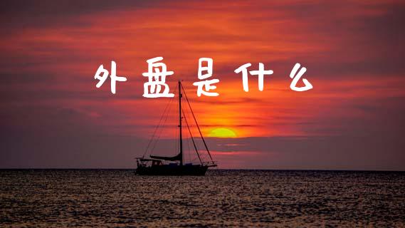 外盘是什么_https://wap.lcpcjs.com_外汇市场_第1张