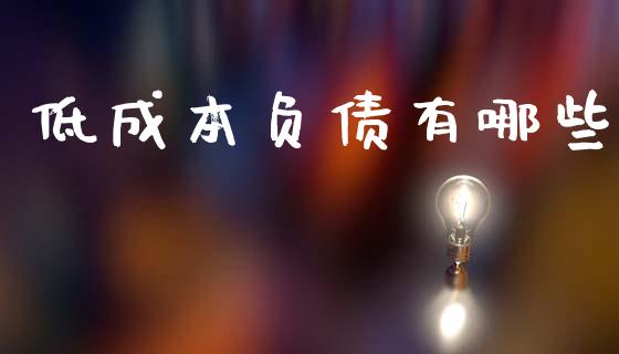 低成本负债有哪些_https://wap.lcpcjs.com_全球经济_第1张