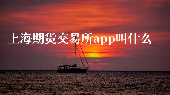 上海期货交易所app叫什么_https://wap.lcpcjs.com_股港行情_第1张