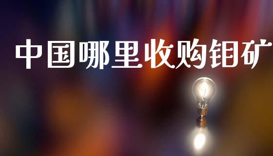 中国哪里收购钼矿_https://wap.lcpcjs.com_美股行情_第1张