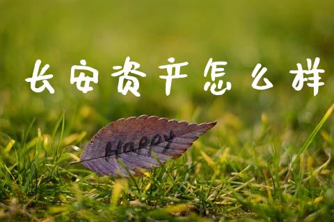长安资产怎么样_https://wap.lcpcjs.com_美股行情_第1张