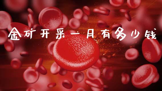 金矿开采一月有多少钱_https://wap.lcpcjs.com_外汇市场_第1张