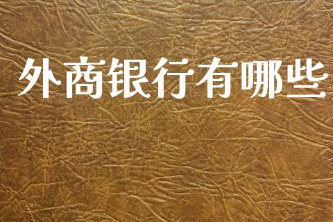 外商银行有哪些_https://wap.lcpcjs.com_美股行情_第1张