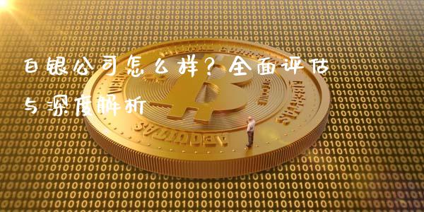 白银公司怎么样？全面评估与深度解析_https://wap.lcpcjs.com_美股行情_第1张