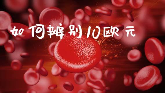 如何辨别10欧元_https://wap.lcpcjs.com_美股行情_第1张