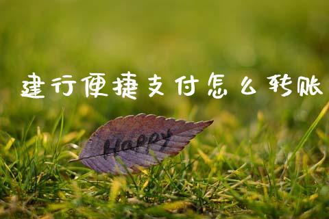 建行便捷支付怎么转账_https://wap.lcpcjs.com_股港行情_第1张