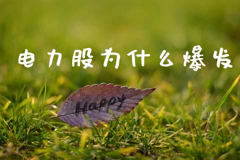 电力股为什么爆发_https://wap.lcpcjs.com_股港行情_第1张