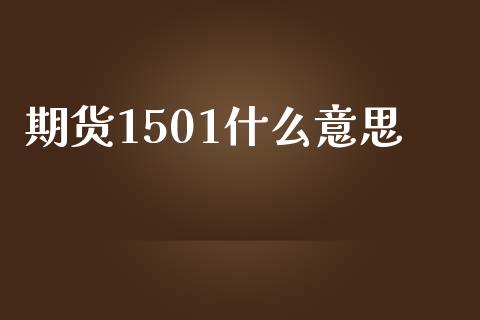 期货1501什么意思_https://wap.lcpcjs.com_美股行情_第1张