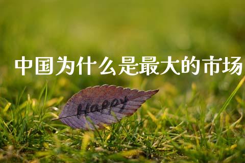 中国为什么是最大的市场_https://wap.lcpcjs.com_全球经济_第1张