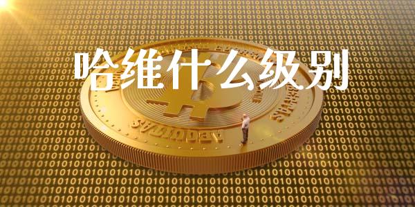 哈维什么级别_https://wap.lcpcjs.com_股港行情_第1张