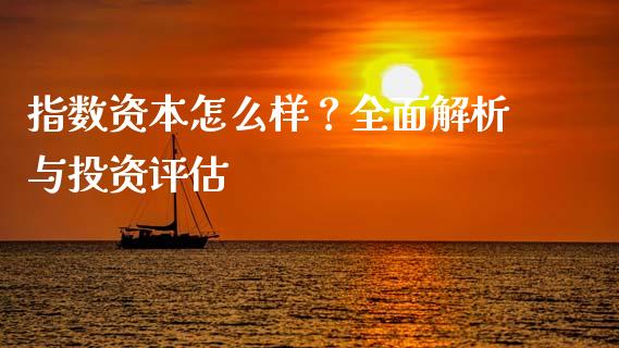 指数资本怎么样？全面解析与投资评估_https://wap.lcpcjs.com_全球经济_第1张
