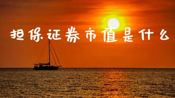 担保证券市值是什么_https://wap.lcpcjs.com_外汇市场_第1张