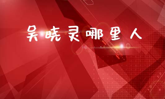 吴晓灵哪里人_https://wap.lcpcjs.com_股港行情_第1张