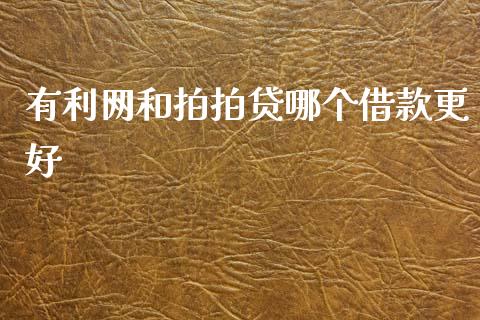 有利网和拍拍贷哪个借款更好_https://wap.lcpcjs.com_股港行情_第1张