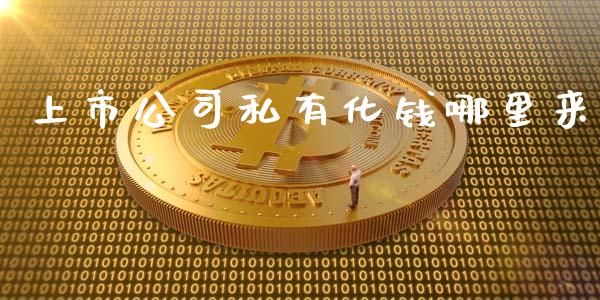 上市公司私有化钱哪里来_https://wap.lcpcjs.com_美股行情_第1张