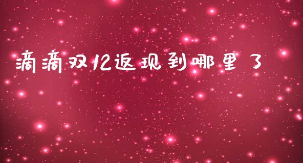 滴滴双12返现到哪里了_https://wap.lcpcjs.com_全球经济_第1张