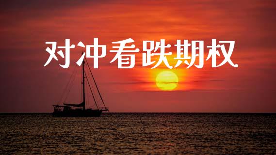对冲看跌期权_https://wap.lcpcjs.com_股港行情_第1张