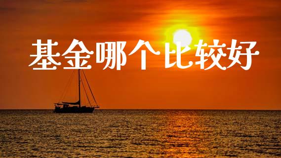 基金哪个比较好_https://wap.lcpcjs.com_全球经济_第1张