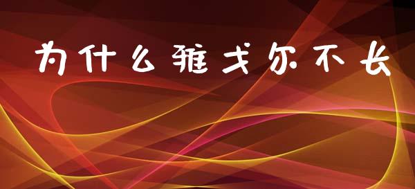 为什么雅戈尔不长_https://wap.lcpcjs.com_美股行情_第1张
