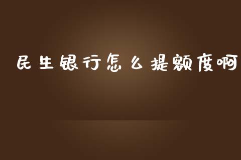 民生银行怎么提额度啊_https://wap.lcpcjs.com_美股行情_第1张