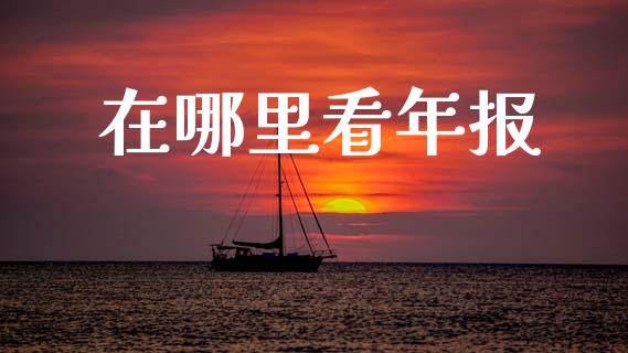 在哪里看年报_https://wap.lcpcjs.com_全球经济_第1张