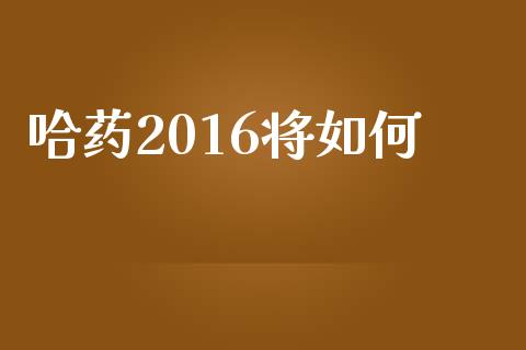哈药2016将如何_https://wap.lcpcjs.com_美股行情_第1张