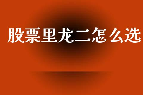 股票里龙二怎么选_https://wap.lcpcjs.com_全球经济_第1张